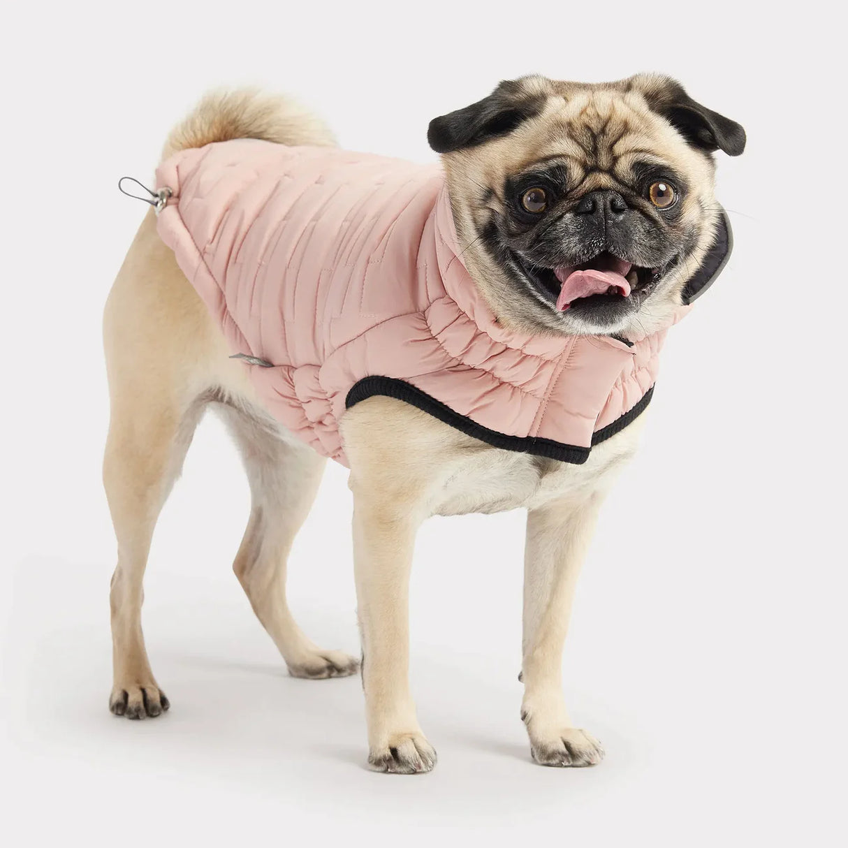 Elastofit hot sale dog jacket