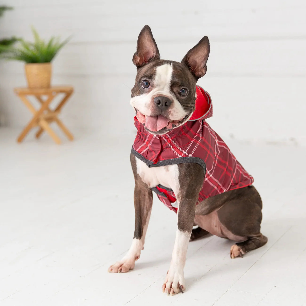 Elasto-Fit Reversible Dog Raincoat (Red Plaid)