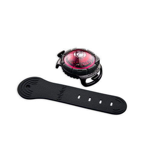 Orbiloc Dog Dual Safety Light (Pink)