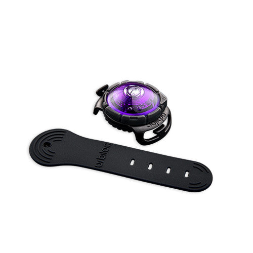 Orbiloc Dog Dual Safety Light (Purple)