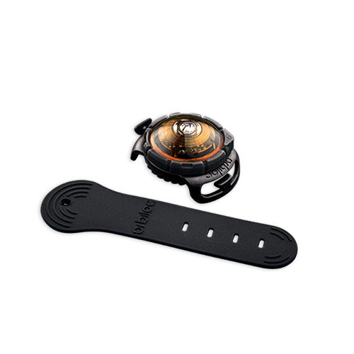 Orbiloc Dog Dual Safety Light (Amber)