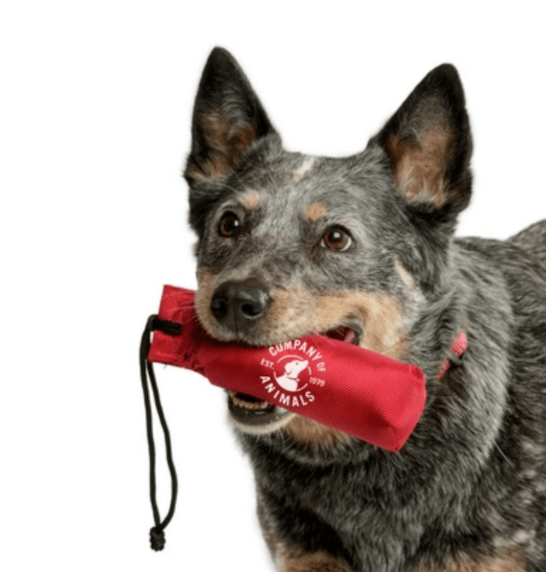 Clix Nylon Dog Training Dummy - Pet's Play Toy Store