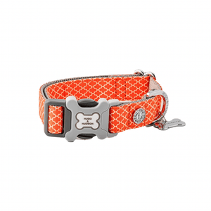 Hugo & Hudson Geometric Dog Bone Buckle Collar (Orange) - Pet's Play Toy Store