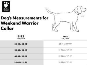 Hurtta Weekend Warrior Dog Collar (Neon Lemon) - Pet's Play Toy Store