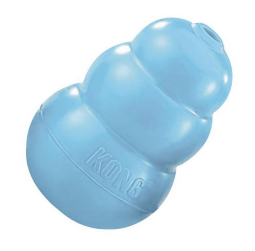 KONG® Puppy Treat Toy (Various Sizes & Colours) - Pet's Play Toy Store
